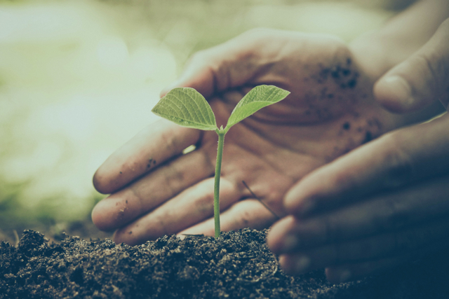 URSA: Pioneering sustainability in insulation solutions